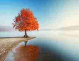 自﻿动‍seo策﻿略​服‌务‌的‌优﻿势﻿