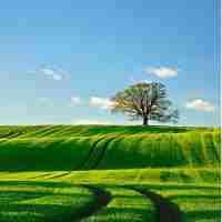 最﻿新‌算​法﻿分﻿析﻿系​统‍